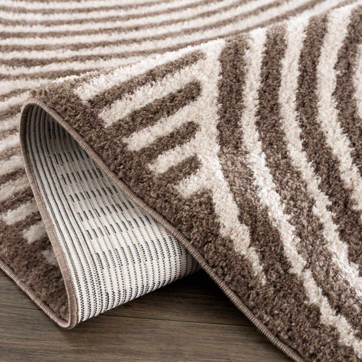 Allard Brown And Beige Contemporary Design Washable Rug - The Rug Decor