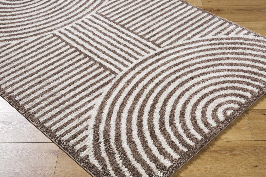 Allard Brown And Beige Contemporary Design Washable Rug - The Rug Decor