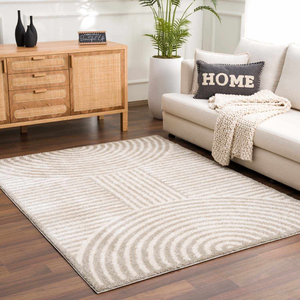 Allard Contemporary Style Beige Washable Area Rug - The Rug Decor