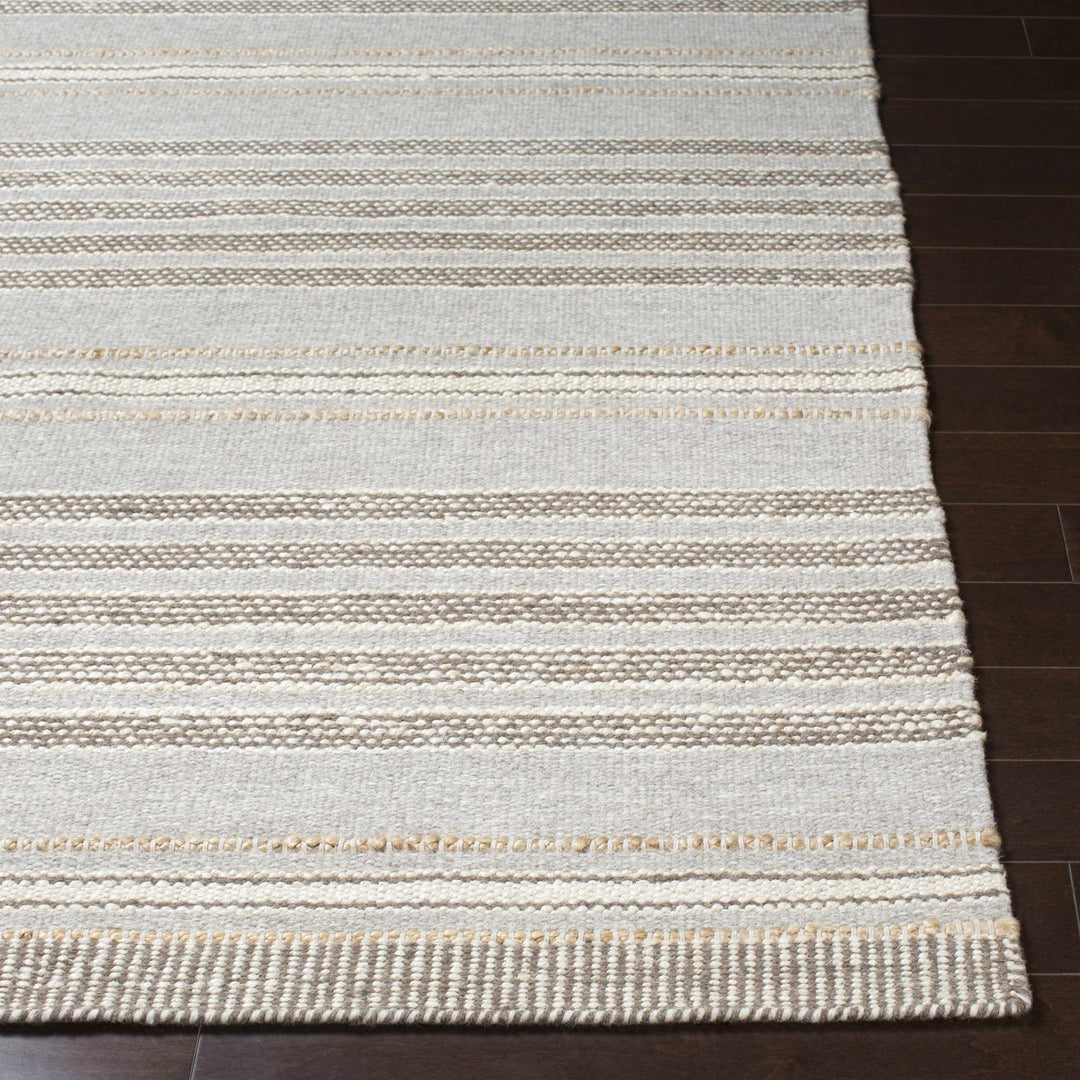 Allendorf Modern Style Gray And Beige Hand Woven Wool Area Rug - The Rug Decor