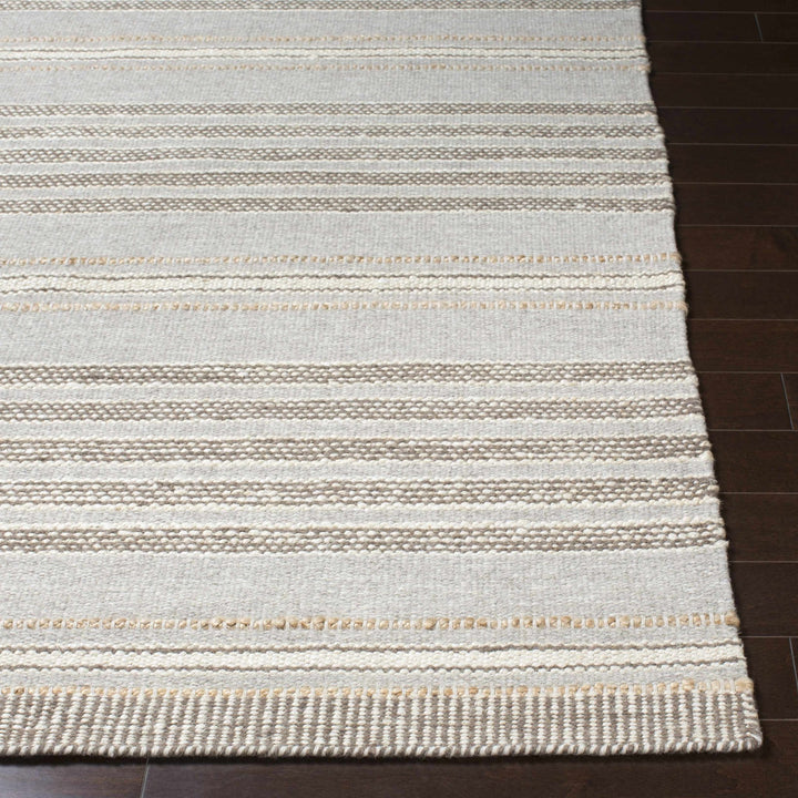 Allendorf Modern Style Gray And Beige Hand Woven Wool Area Rug - The Rug Decor