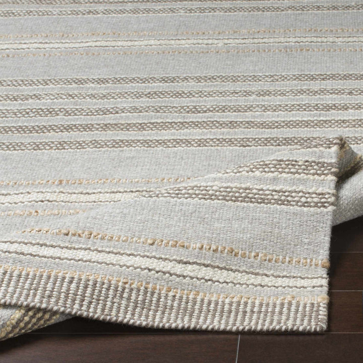 Allendorf Modern Style Gray And Beige Hand Woven Wool Area Rug - The Rug Decor