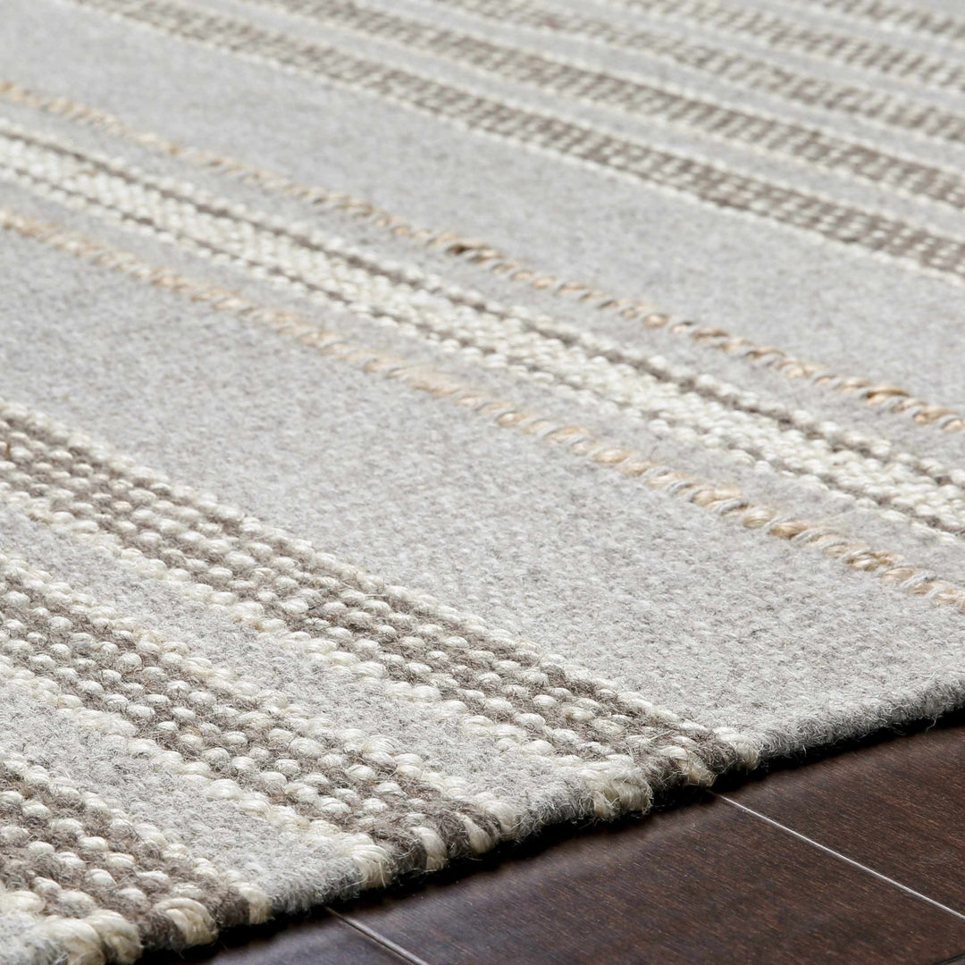 Allendorf Modern Style Gray And Beige Hand Woven Wool Area Rug - The Rug Decor