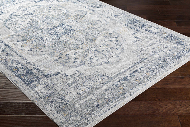 Allerton Traditional Style Gray And Blue Area Rug