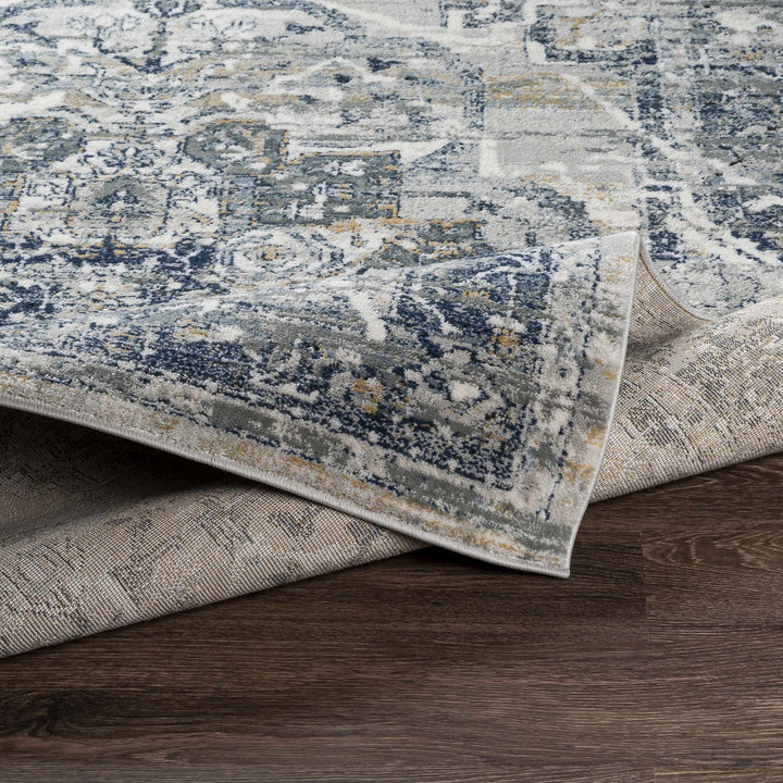 Allerton Traditional Style Gray And Blue Area Rug
