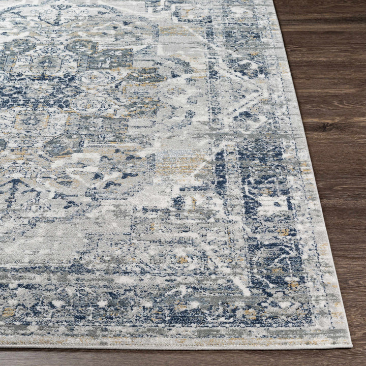 Allerton Traditional Style Gray And Blue Area Rug