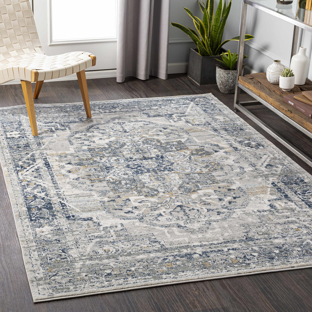 Allerton Traditional Style Gray And Blue Area Rug