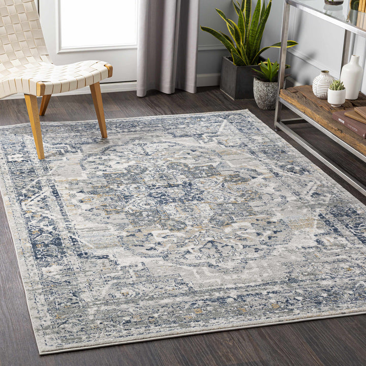 Allerton Traditional Style Gray And Blue Area Rug