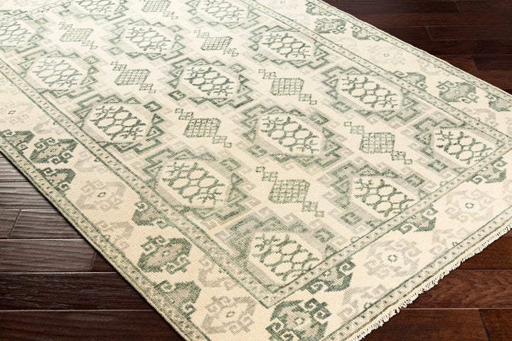 Aloleng Ivory And Green Traditional Style Hand Knotted Area Rug - The Rug Decor