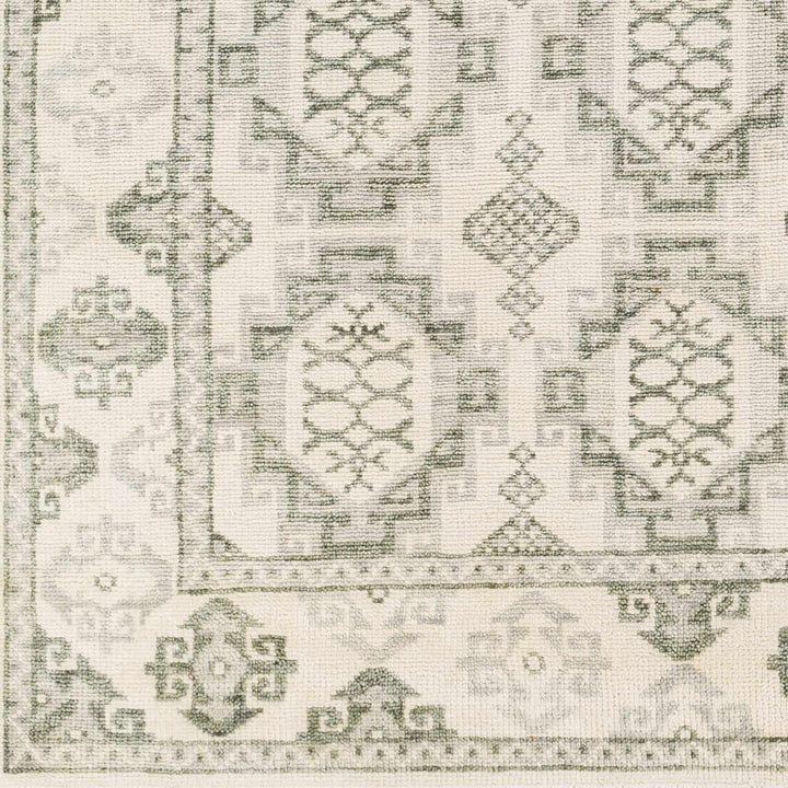 Aloleng Ivory And Green Traditional Style Hand Knotted Area Rug - The Rug Decor