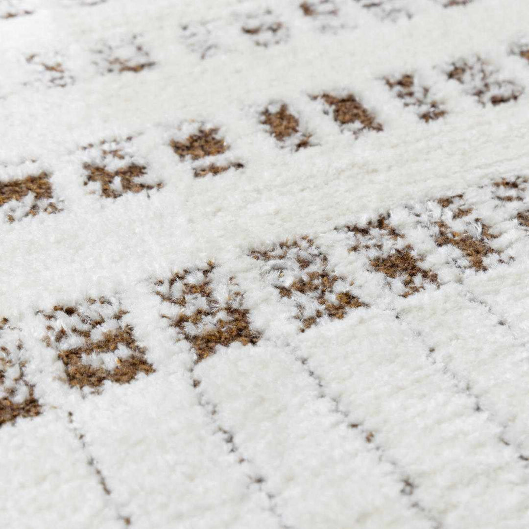 Alvina Contemporary Style Ivory And Brown Area Rug - The Rug Decor