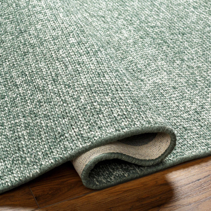 Alyra Contemporary Green And Beige Solid Area Rug - The Rug Decor