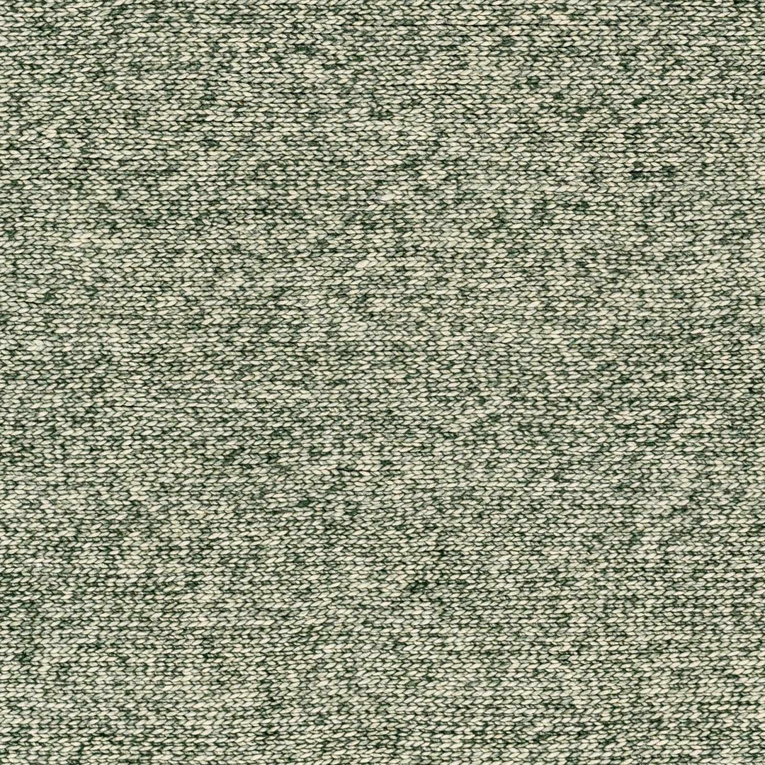 Alyra Contemporary Green And Beige Solid Area Rug - The Rug Decor