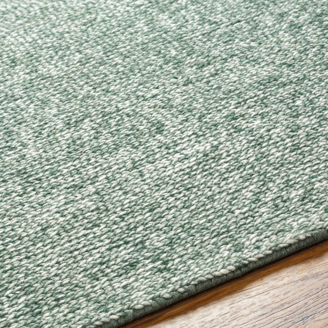 Alyra Contemporary Green And Beige Solid Area Rug - The Rug Decor