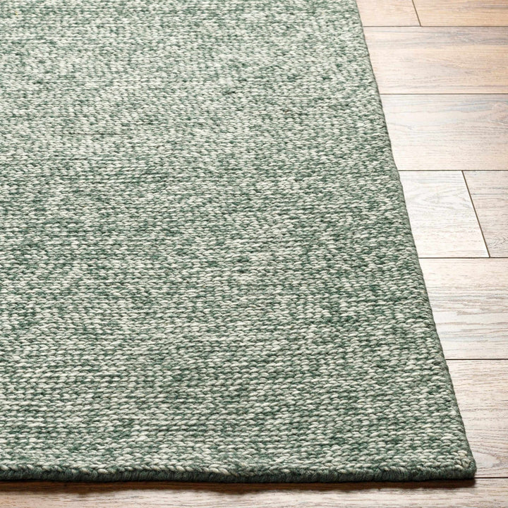 Alyra Contemporary Green And Beige Solid Area Rug - The Rug Decor