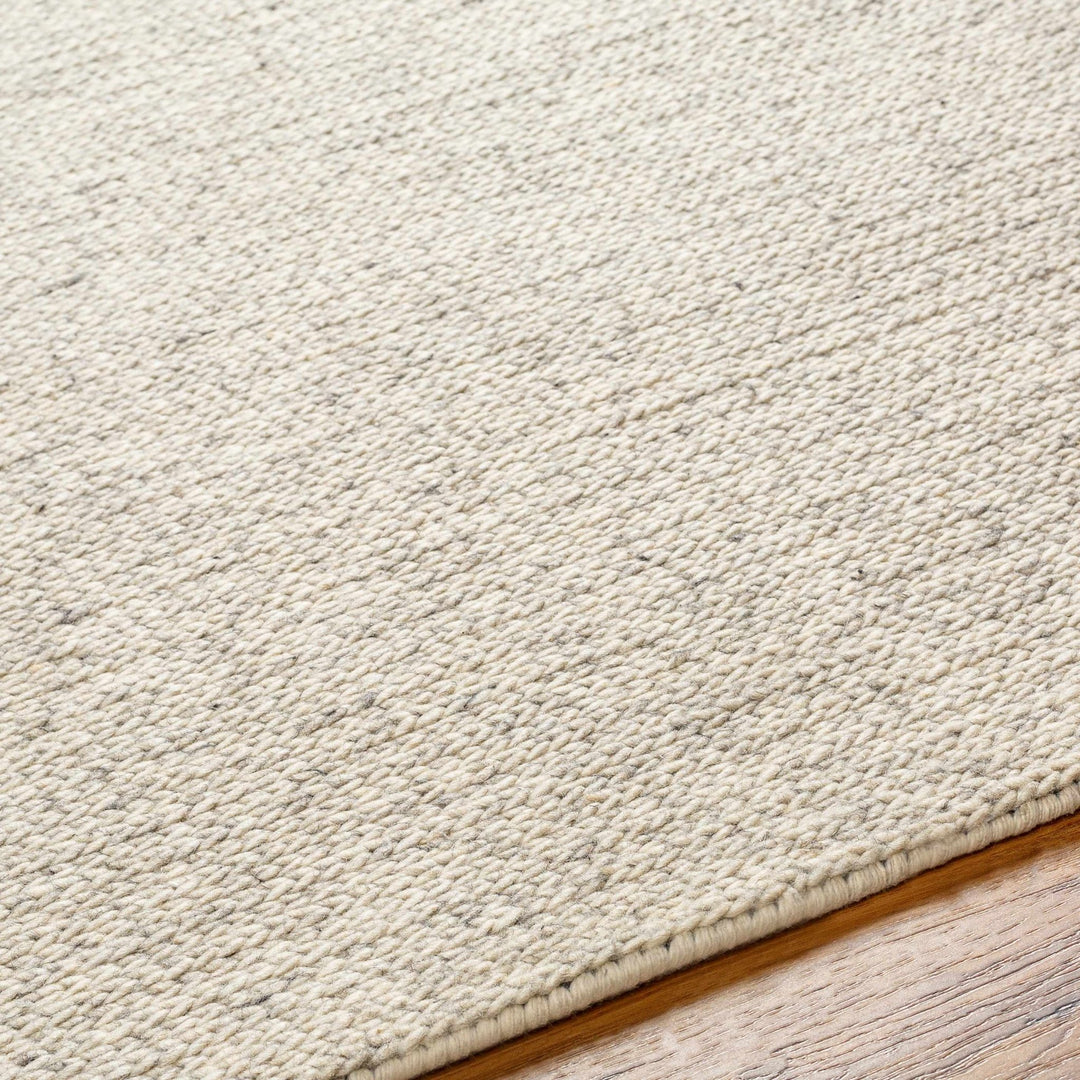 Alyra Contemporary Solid Beige Area Rug - The Rug Decor
