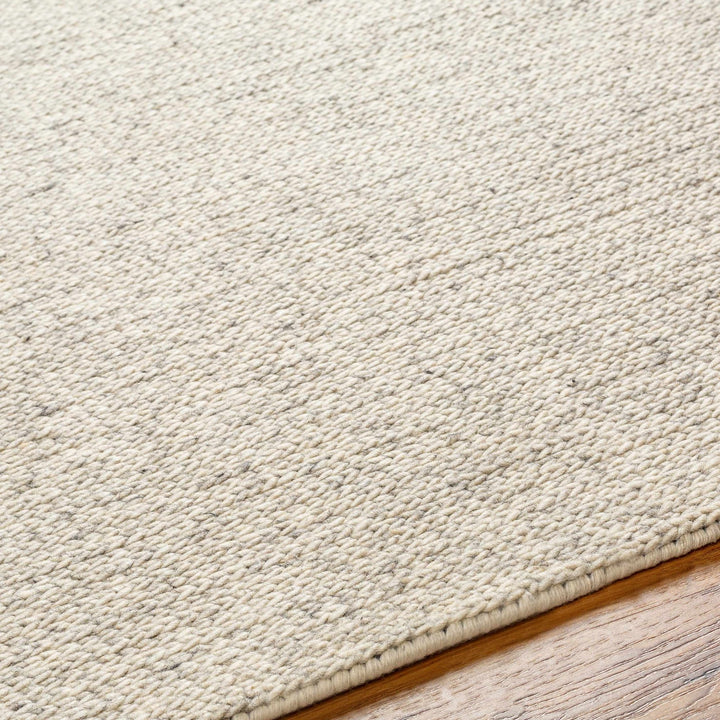 Alyra Contemporary Solid Beige Area Rug - The Rug Decor