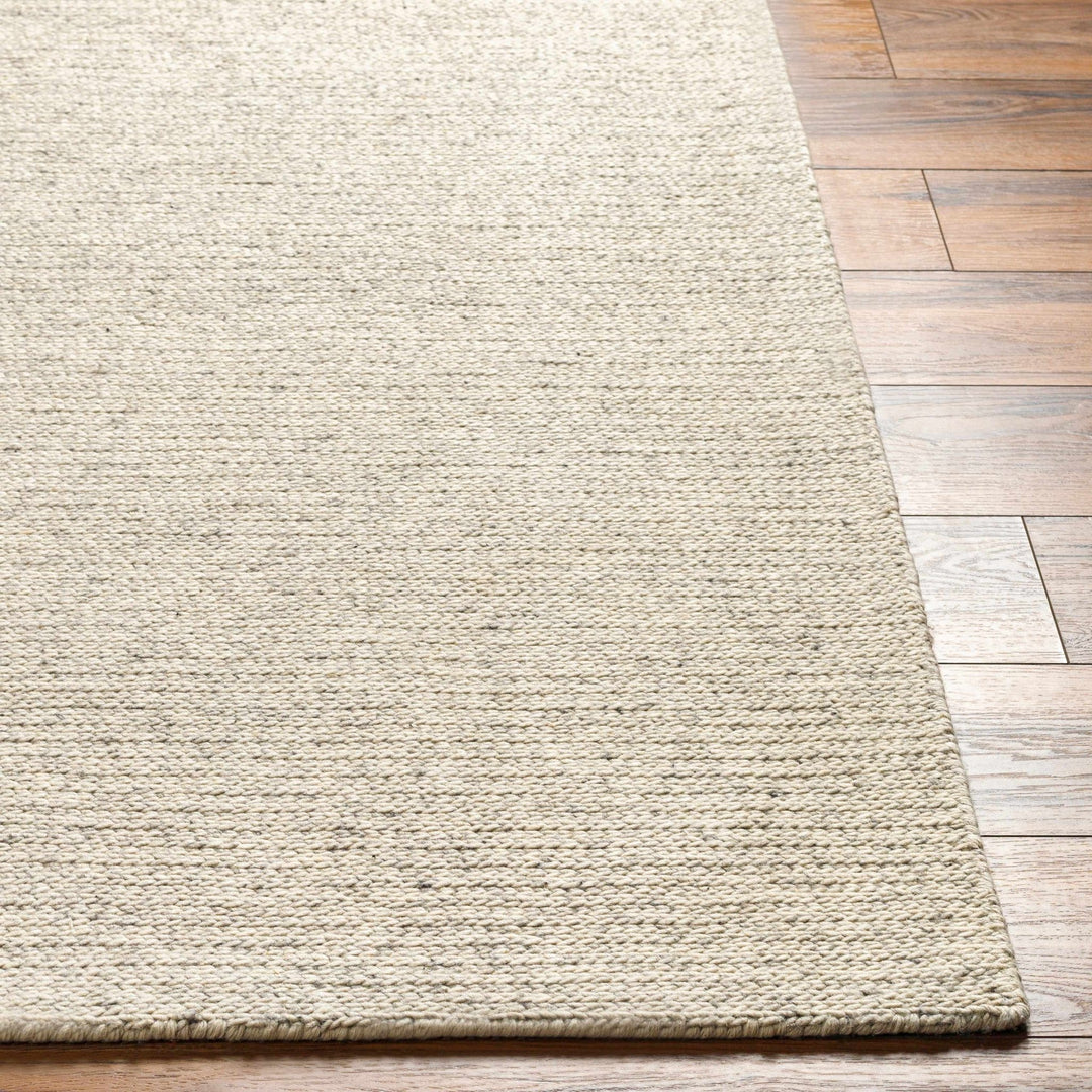 Alyra Contemporary Solid Beige Area Rug - The Rug Decor