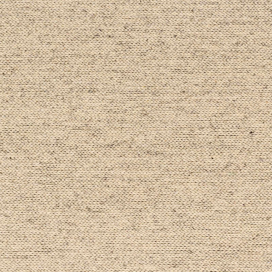 Alyra Contemporary Solid Beige Area Rug - The Rug Decor