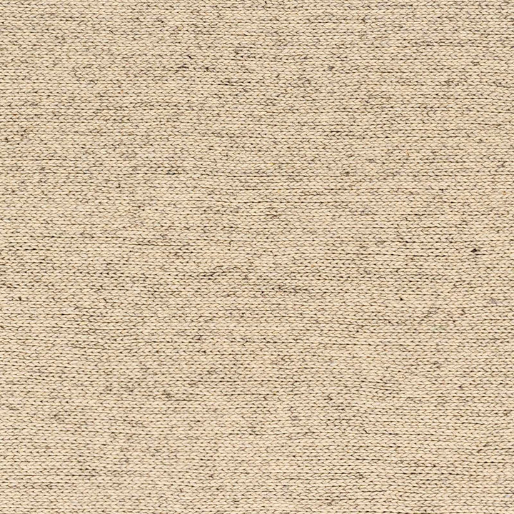 Alyra Contemporary Solid Beige Area Rug - The Rug Decor