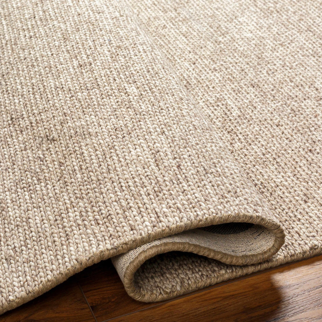 Alyra Tan Contemporary Solid Design Hand Woven Wool Rug - The Rug Decor