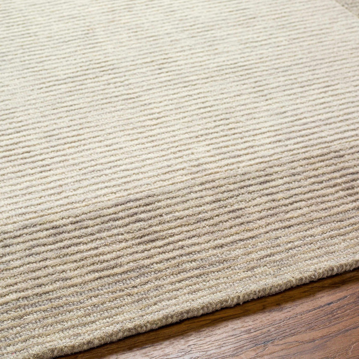 Amadi Contemporary Solid Beige And Brown Wool Area Rug - The Rug Decor