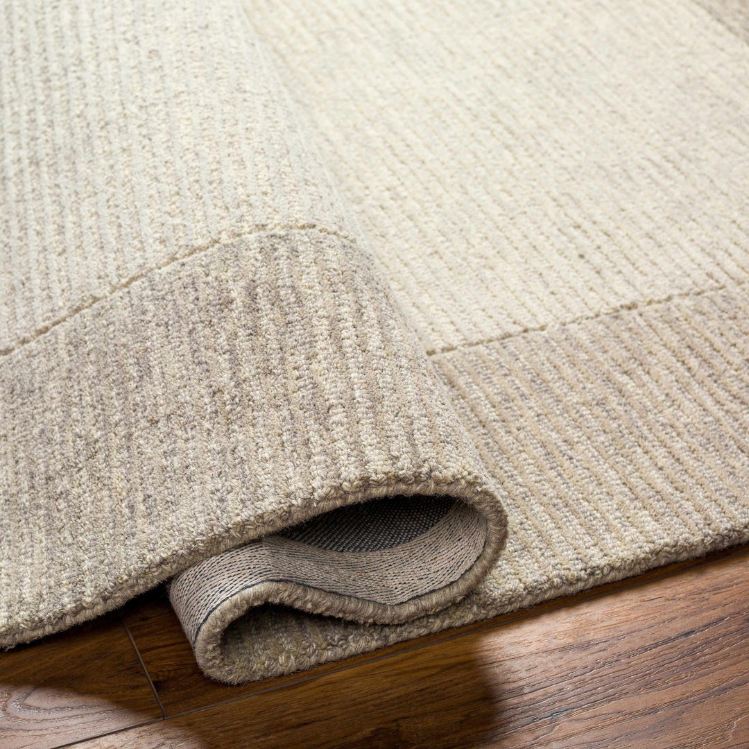 Amadi Contemporary Solid Beige And Brown Wool Area Rug - The Rug Decor