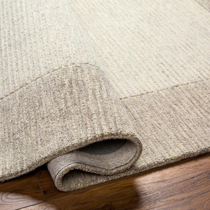 Amadi Contemporary Solid Beige And Brown Wool Area Rug - The Rug Decor