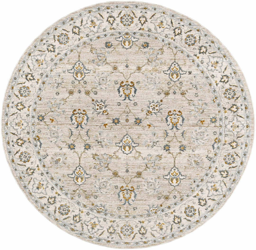 Amaru Beige And Olive Traditional Floral design Rug - The Rug Decor
