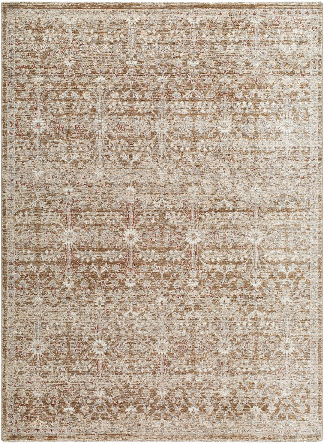 Ammiel Traditional Brown And Tan Rug - The Rug Decor