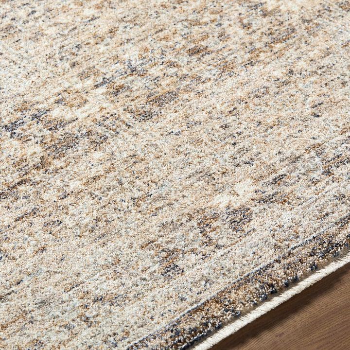 Ammiel Traditional Distress Tan And Gray Rug - The Rug Decor
