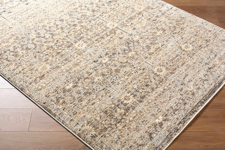 Ammiel Traditional Distress Tan And Gray Rug - The Rug Decor