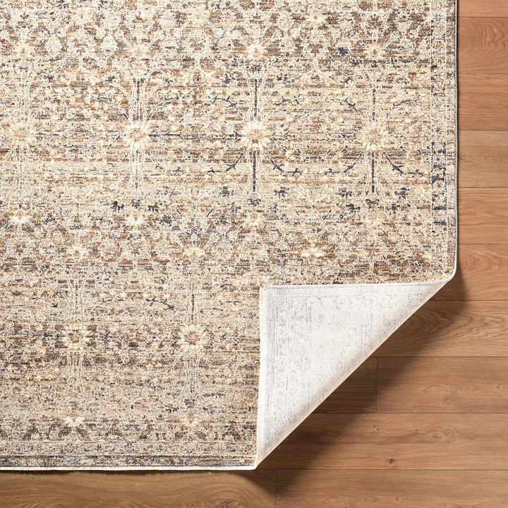 Ammiel Traditional Distress Tan And Gray Rug - The Rug Decor