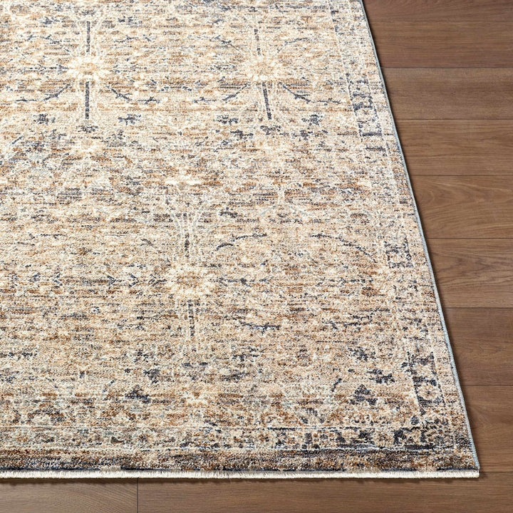 Ammiel Traditional Distress Tan And Gray Rug - The Rug Decor