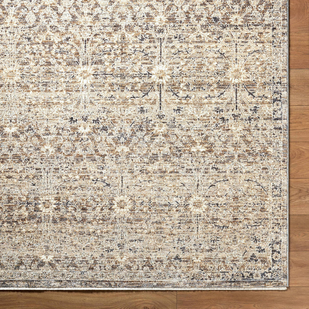 Ammiel Traditional Distress Tan And Gray Rug - The Rug Decor