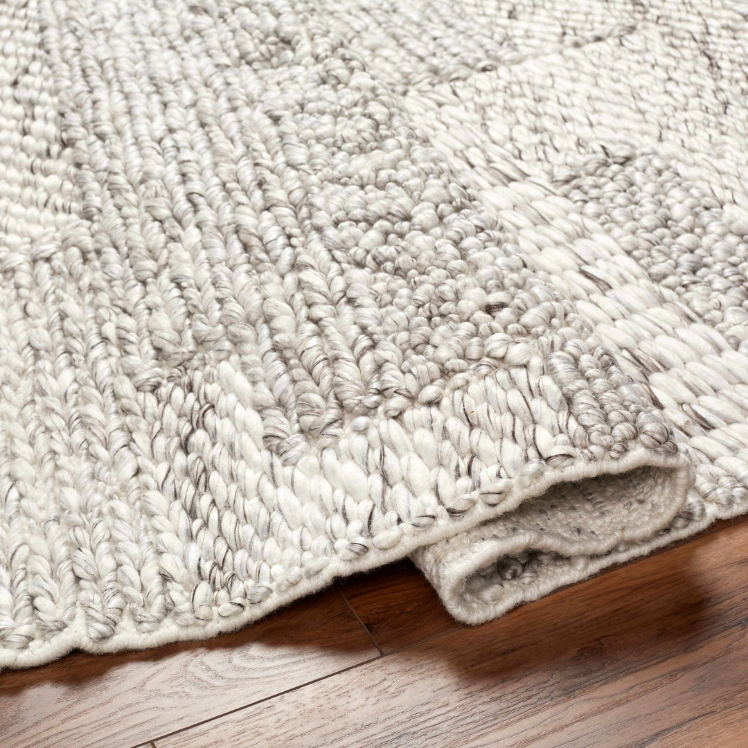 Amon Contemporary Gray And Ivory Area Rug - The Rug Decor