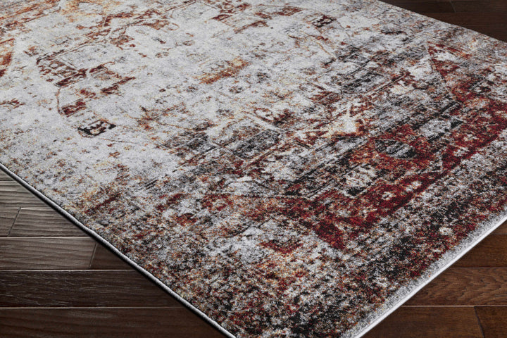 Analisa Traditional Style Gray And Rust Area Rug