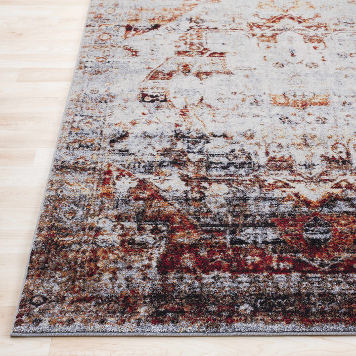 Analisa Traditional Style Gray And Rust Area Rug