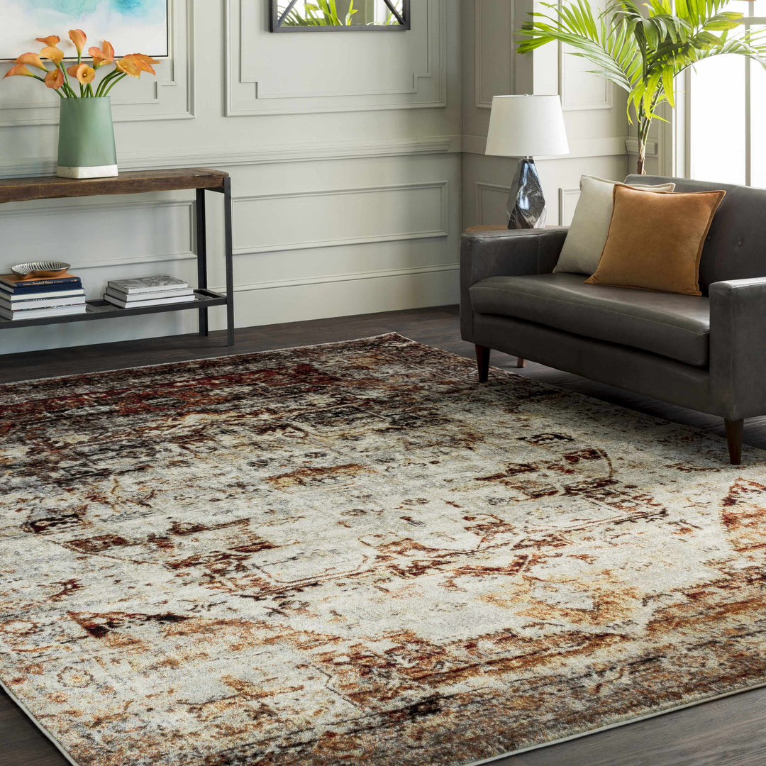 Analisa Traditional Style Gray And Rust Area Rug