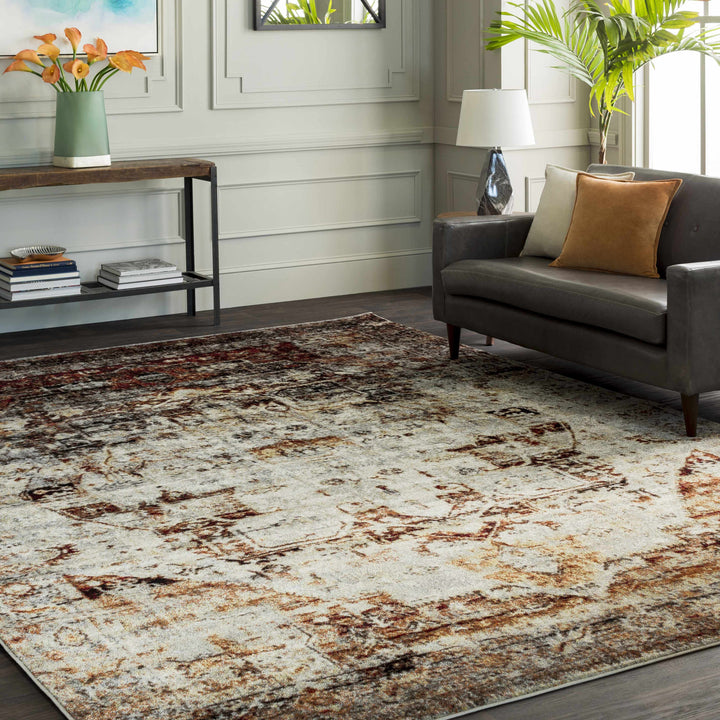 Analisa Traditional Style Gray And Rust Area Rug