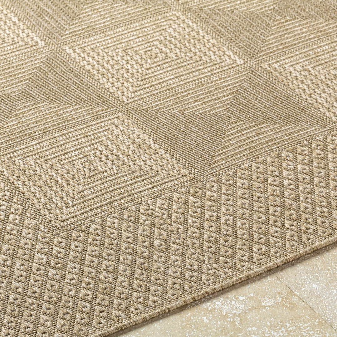 Anabia Traditional Style Beige Outdoor Area Rug - The Rug Decor