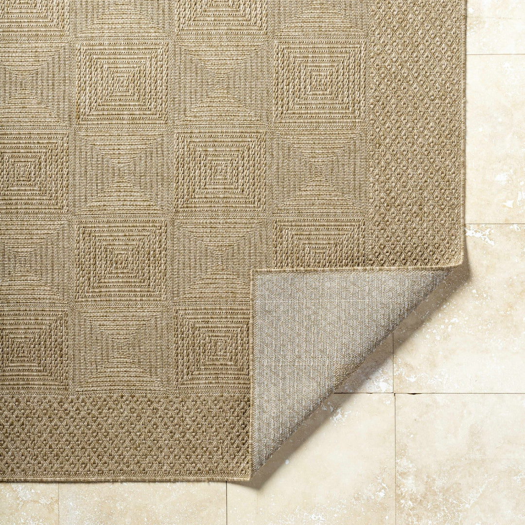 Anabia Traditional Style Beige Outdoor Area Rug - The Rug Decor