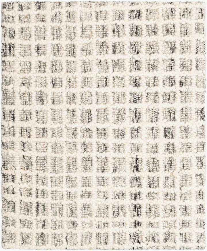 Anahid Modern Geometrical Beige Hand Tufted Wool Area Rug - The Rug Decor