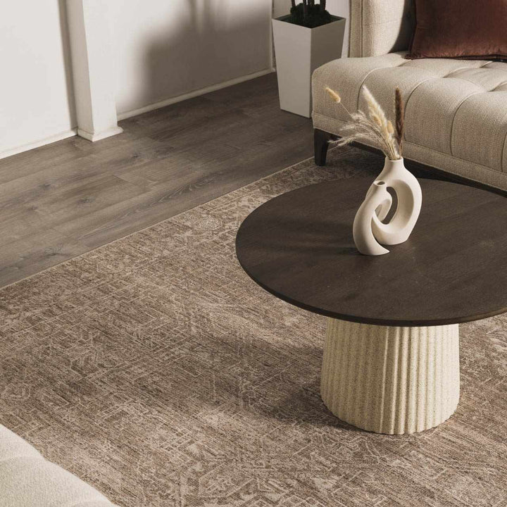 Anakin Traditional Style Brown And Ivory Area Rug - The Rug Decor