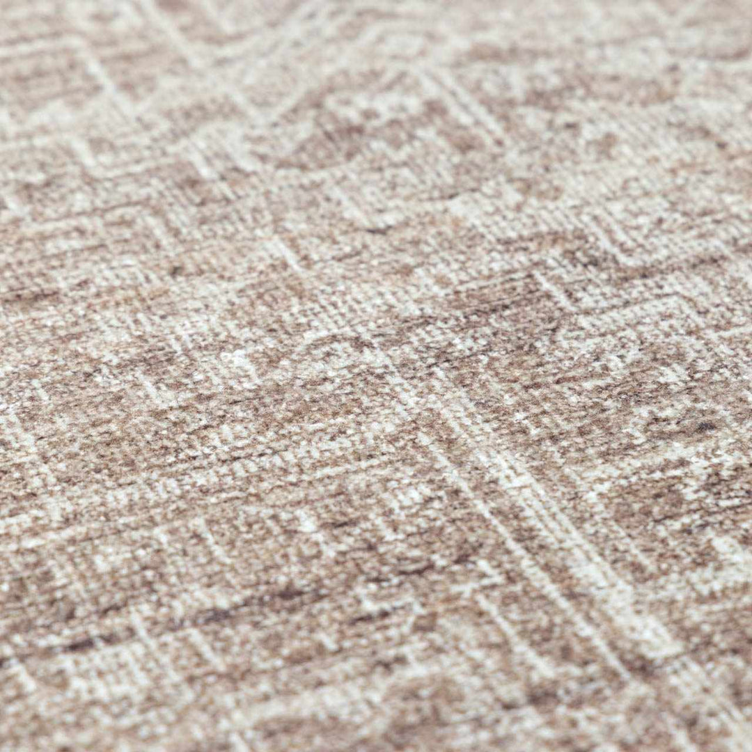 Anakin Traditional Style Brown And Ivory Area Rug - The Rug Decor