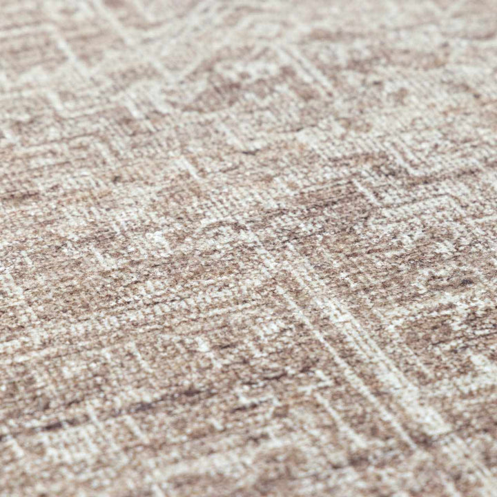 Anakin Traditional Style Brown And Ivory Area Rug - The Rug Decor