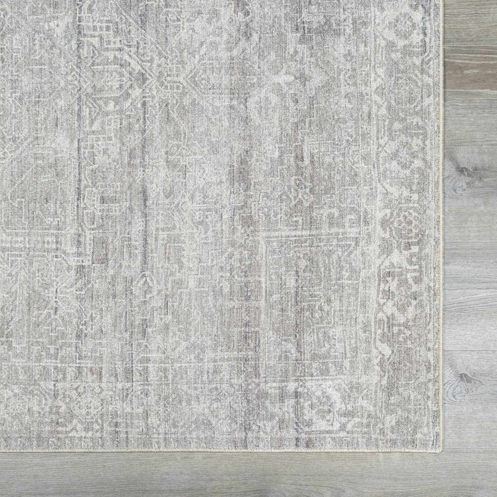 Anakin Traditional Style Gray And Silver Area Rug - The Rug Decor