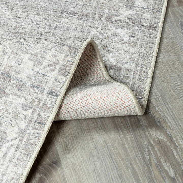 Anakin Traditional Style Gray And Silver Area Rug - The Rug Decor