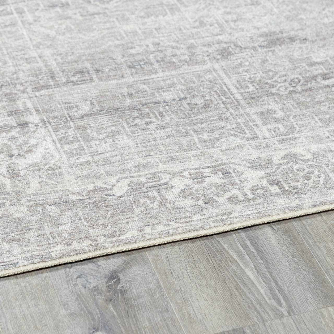 Anakin Traditional Style Gray And Silver Area Rug - The Rug Decor