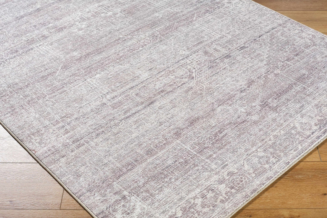 Anakin Traditional Style Gray And Silver Area Rug - The Rug Decor